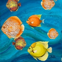 Pinto, Patricia Crni moderni uokvireni muzej umjetnički print pod nazivom - Aquatic Sea Life II