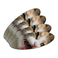 Tabby mač mačka meow dvostrana ovalna datoteka za nokte Emery tabla set paketa