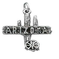 Sterling Silver 18 3D saguaro kaktus vagon kotač Arizona potpisao privjesak ogrlica