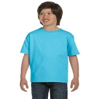 Hanes Boys 'Oznaka; Udobnost meka; Crewneck majica, boja: pepeo, veličina: xs od