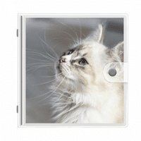 White Pet Cat Profil životinja Slatki pogled Fotografija Album Novčanik Wedding Porodica 4x6