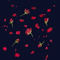 Naseljene ruže i latice Juniori Mornari plavi grafički tee - Dizajn ljudi 2xl
