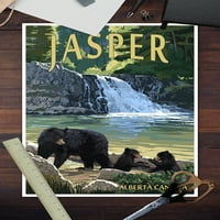 Alberta, Kanada, Jasper, Bear Porodica i vodopad