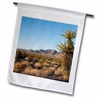 3Droza Nevada, Delamar, Veliki sliv, Suho jezero - US PSO - Paul Souders - Zastava bašte, prema