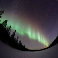 Greendecor poliester Tkanina 7x5FT Fotografija pozadina zimski snijeg zvjezdani nebo drveća polar aurora