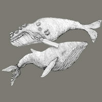 Par plesa kitova Juniors Drveni ugljen sivi grafički tee - Dizajn ljudi 2xl