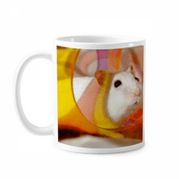 Bijela pacova životinja za kućne ljubimce Igračke šalica kerac kafa Porcelanski čas