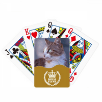 Profil smeđu mačke životinje Stare Royal Flush Poker igračka karta