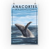 AnaCortes, Washington, Humpback Whale