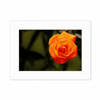 Narančasta tamnozelena cvjetna fotografija Mount Frame slike umjetno slikarska radna površina