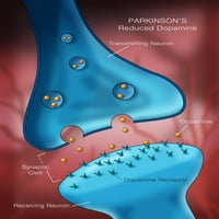 Dopamine & Parkinson's Poster Passter Print Monica Schroeder Naučni izvor