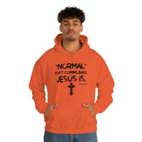 ObiteljskoPop LLC Normal ISnt se vraća Isus Je li majica, veseli uskrsni muški majica, Uskršnja kršćanska