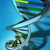 Konceptualna ilustracija DNK molekula Zidni mural Wallmonkeys Ogulja i palica Grafički grafički WM224940