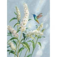 Nai, Danhui Crni moderni uokvireni muzej Art Print pod nazivom - Hummingbird Proljeće II Meko plava