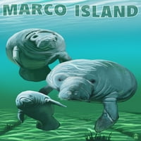 Marco Island, manatees