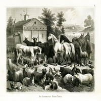 1800S Farma za životinjsku grafikon Poster Print Gwendolyn Babbitt BAB517