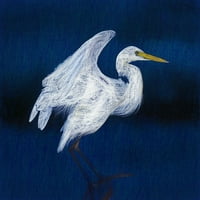 White Egret II poster Print by Ronald Bolokofsky # FAS1350