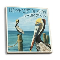 Newport Beach, California, smeđi pelikan