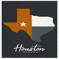 Houston, Texas, Hjuston jak, nevolje, državni obris
