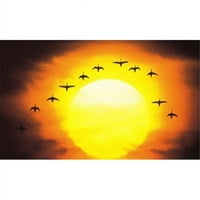 Panoramske slike PPI Silhouetted ptice u zalasku sunca Poster Print panoramskim slikama - 22