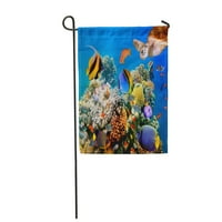 Crveni akvarijum tropske ribe i kornjače na koralnom grebenu plava podvodna mora duboka vrtna zastava