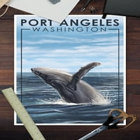 Port Angeles, Washington, Humpback Whale