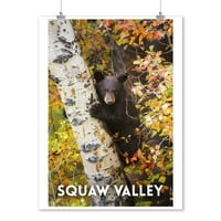 Valley squaw, Kalifornija, medvjed mladunče u breza