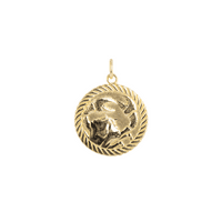 Reverzibilni rak Zodijak ZODIAC ogrlica od kovanice u čvrstom zlatu