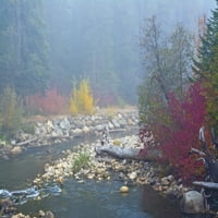 Maglovito jesen, Nason Creek, Wenatchee National Forest, Vašington Država, SAD Poster Print Michel Hersen