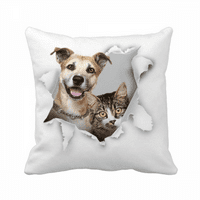 Papir za životinje Paper Shock Photo Backing Jastuk za spavanje Sofa za kauč na razvlačenje