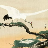 Japanska dizalica ptica na grani od strane Ohare Koson