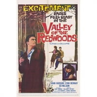 Posteranzi Movih Dolina Redwoods Movie Poster - In