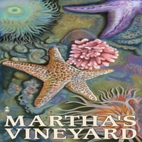 Marthaov vinograd, Tidepools