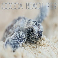 FL OZ Keramička krigla, pier za plažu kakaa, Florida, Hawksbill kornjača, perilica suđa i mikrovalna