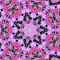 Kaleidoscope Rose - platna ili fino štampana zidna umjetnost