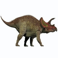 Triceratops je rod biljojedinog dinosaura koji su živjeli u Sjevernoj Americi tijekom krednog perioda