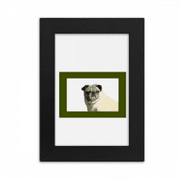 Gledajte pse PET pogranična umjetnost Deco modni desktop Foto okvir Slika za prikaz umjetnosti Izložba