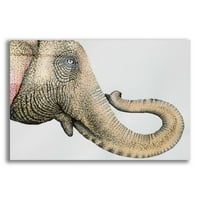 Epic Art 'Spotted Azijski slon 2' Michelle Faber, akril staklena zida Art, 24 x16