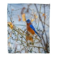 Bacajte pokrivač toplo ugodno print flanel plavi ames istočni plavi ptičje sialia sialus crvena ptičara