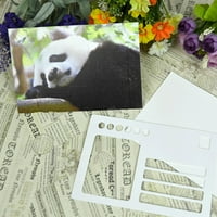 Postcard Pandas Postcards Animal Photography Series Postcard Odličan za tuševe za bebe Day Day