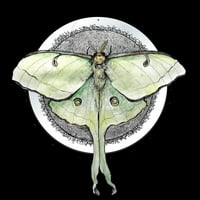 Luna Moth Musn Crna grafički tee - Dizajn od strane ljudi 3xl