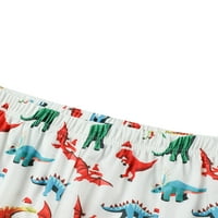 Seyurigaoka Christmas Obitelj Pidžama, Dinosaurus Print Tops + pantalone ROMper