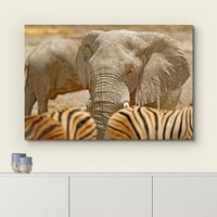 Platno Print Wall Art African Safari Elephants & Tiger Stripes Priroda Fotografije Realizam Rustikalna scenska pejzažna divljina Zen Šareno za dnevni boravak, Spavaća soba, ured - 12 X18