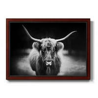 Wexford Početna Fotografija Studija Highland Cattle Premium uokvirena platna - spremna za objesiti -