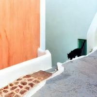 Grčka, Santorini Crna mačka Silazno stubište Kredit kao: Jim Nilsen Jaynes Galerija Poster Ispis Jaynes