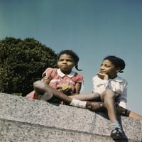 Dvije afričke američke mlade djevojke u pisaču stakla Washington Park