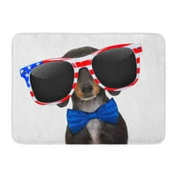 Patriotska jazavčasta kobasica nose sunčane naočale SAD-a na dan nezavisnosti 4. jula u doorni prostir