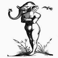 Slonovača, 1616. NwoodCut iz Fortunis Licetus '' de Monstrorum, '1616. Poster Print by